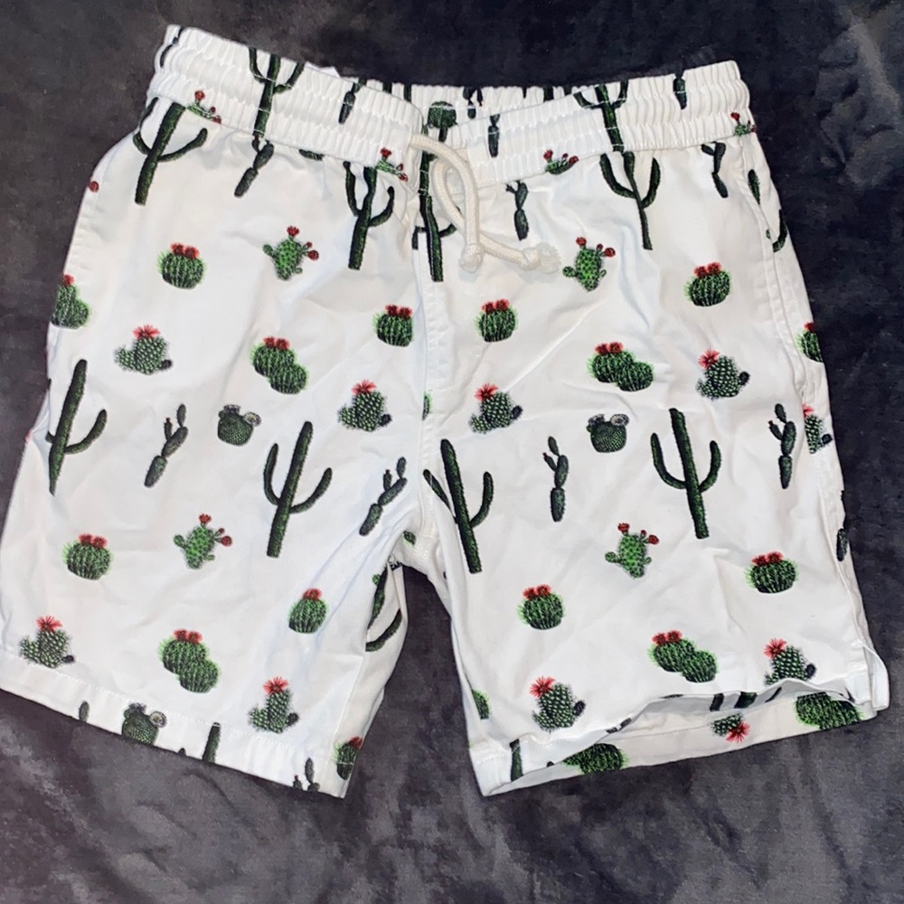 Men’s zip code cactus shorts size small